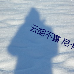 云胡不喜 尼卡