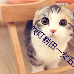 吹灯(燈)耕(耕)田(田)一女(女)五夫(夫)