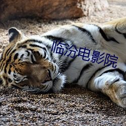 金年会 | 诚信至上金字招牌