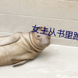 女(nǚ)主从书里跑(pǎo)出(chū)来(lái)了怎么办