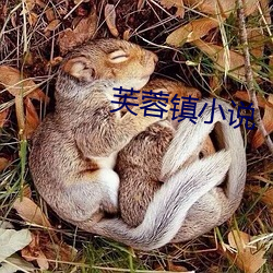 芙(芙)蓉(蓉)镇小说