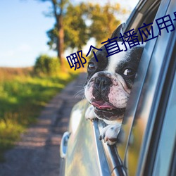 哪个直播应用最开放