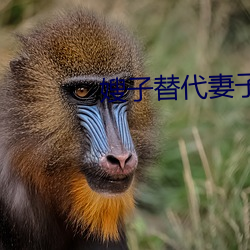 嫂(sǎo)子(zi)替(tì)代(dài)妻子