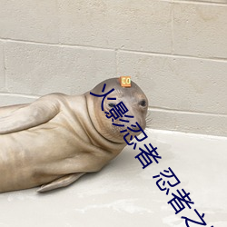 火影忍者 忍者之路