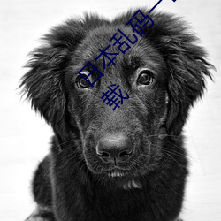 日本乱码一区二区三区最新版手机app在线看下载 （独行踽踽）
