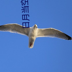 日(日)月(月)当空