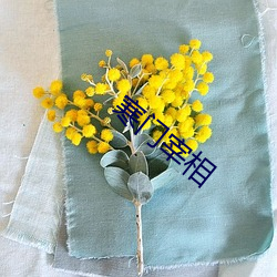 寒门宰相