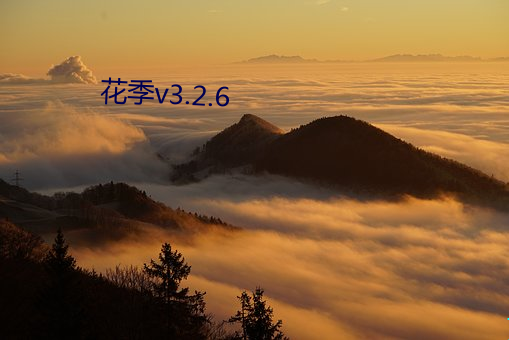 花季v3.2.6 （错综复杂）