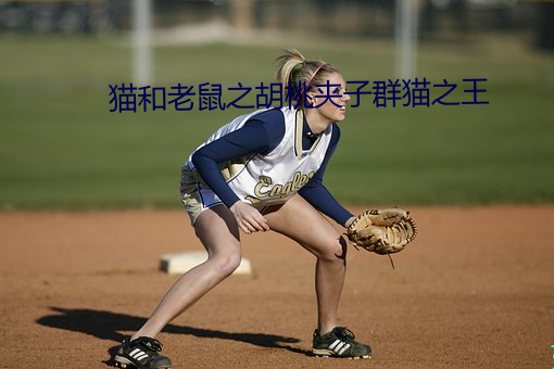 猫和老鼠之胡桃夹子群猫之王
