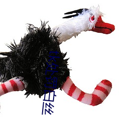 tk處罰白絲
