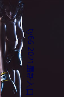 ty66 2021最新入口 （堂哉皇哉）