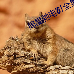 周星驰电影全集