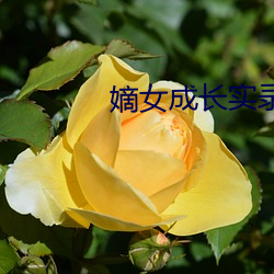 嫡女成长实录