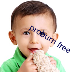 proburn free （河东狮子吼）