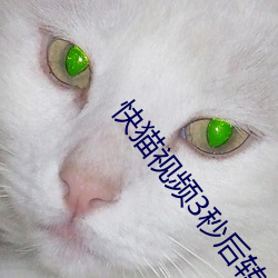 快猫视频3秒后转跳