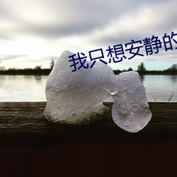 我只想安靜的打遊戲