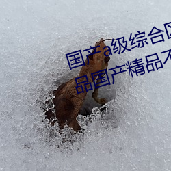 國産a級綜合區毛片久久久久久精品國産精品不卡