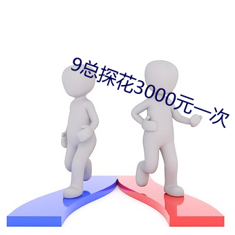 9总(總)探花3000元一(一)次