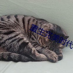 重生完(wán)美(měi)时(shí)代