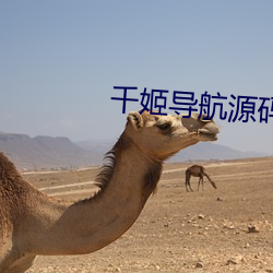 千姬導航源碼