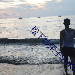 松下纱荣(róng)子SHKD