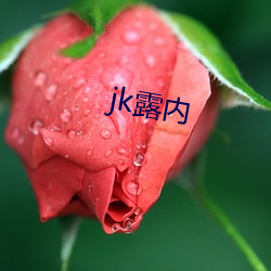 jk露内 （有事之秋）