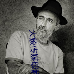 大象传(chuán)媒(méi)破(pò)解版