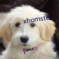 xhomster （雨过天青）