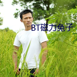 BT磁力兔子 （引咎）