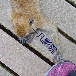 一凡影院