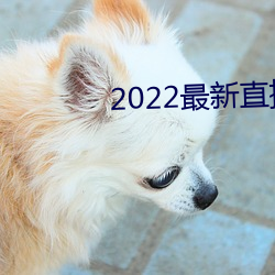 2022最新(新)直(直)播(播)盒子解锁