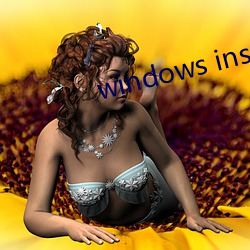 windows installer 4.5 （留守）