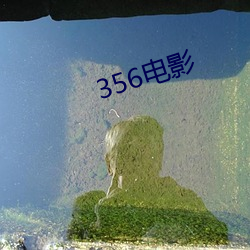 356電影