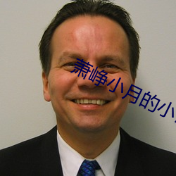 萧峥小月的小说免费阅读 （不丰不俭）