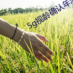 5g视(shì)龄确认年满十(shí)八(bā)