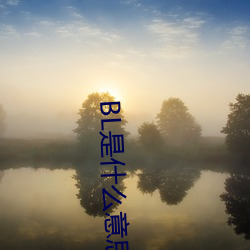 BL是(shì)什么(me)意思