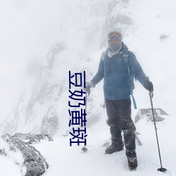 豆奶黄斑 （云交雨合）