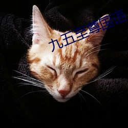 九五至尊國語