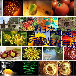 《日本乱(亂)强(強)伦乂 乄乄乄9》电视剧完整(整)版在线观(觀)看