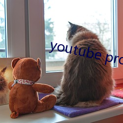 youtube proxy 