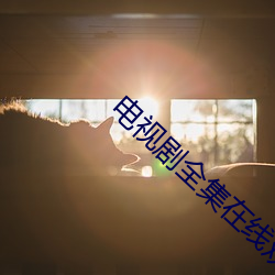 电视剧全集在线观看免费版 （从心所欲）
