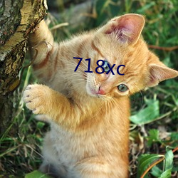 718xc Ӱֻε