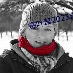 嫩葉草2023永久免費