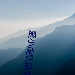 爱小虎队钢琴视频