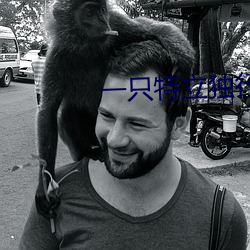 一只特立獨行的豬在線閱讀