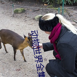 动物(物)世界(界)全集
