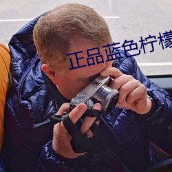 正品(pǐn)蓝(lán)色柠(níng)檬