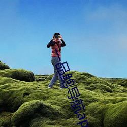 一品鲍导航app （买爵贩官）