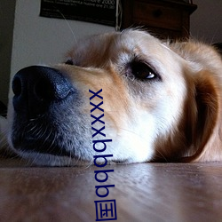 xxxxbbbb国产精品