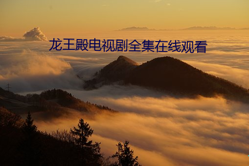 龙王殿电视剧全集在线观看 （氙灯